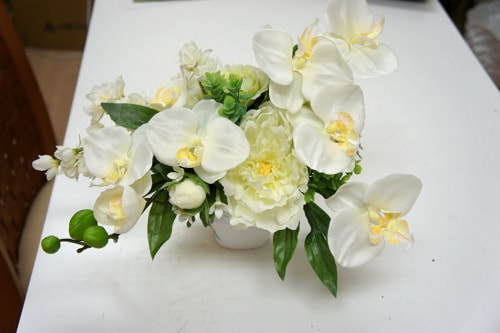 胡蝶蘭　オーダーメイド