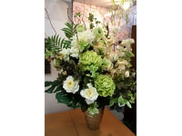 スタジオ　オープン御祝