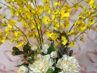 オンシジューム