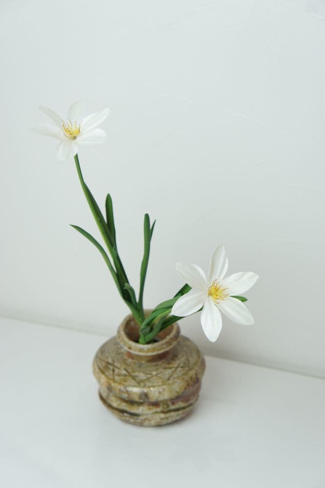 タマスダレ　オーダーメイド