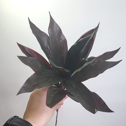 葉もの制作の流れ