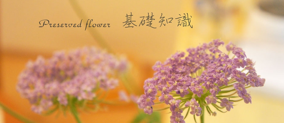 プリザーブドフラワーの基礎知識